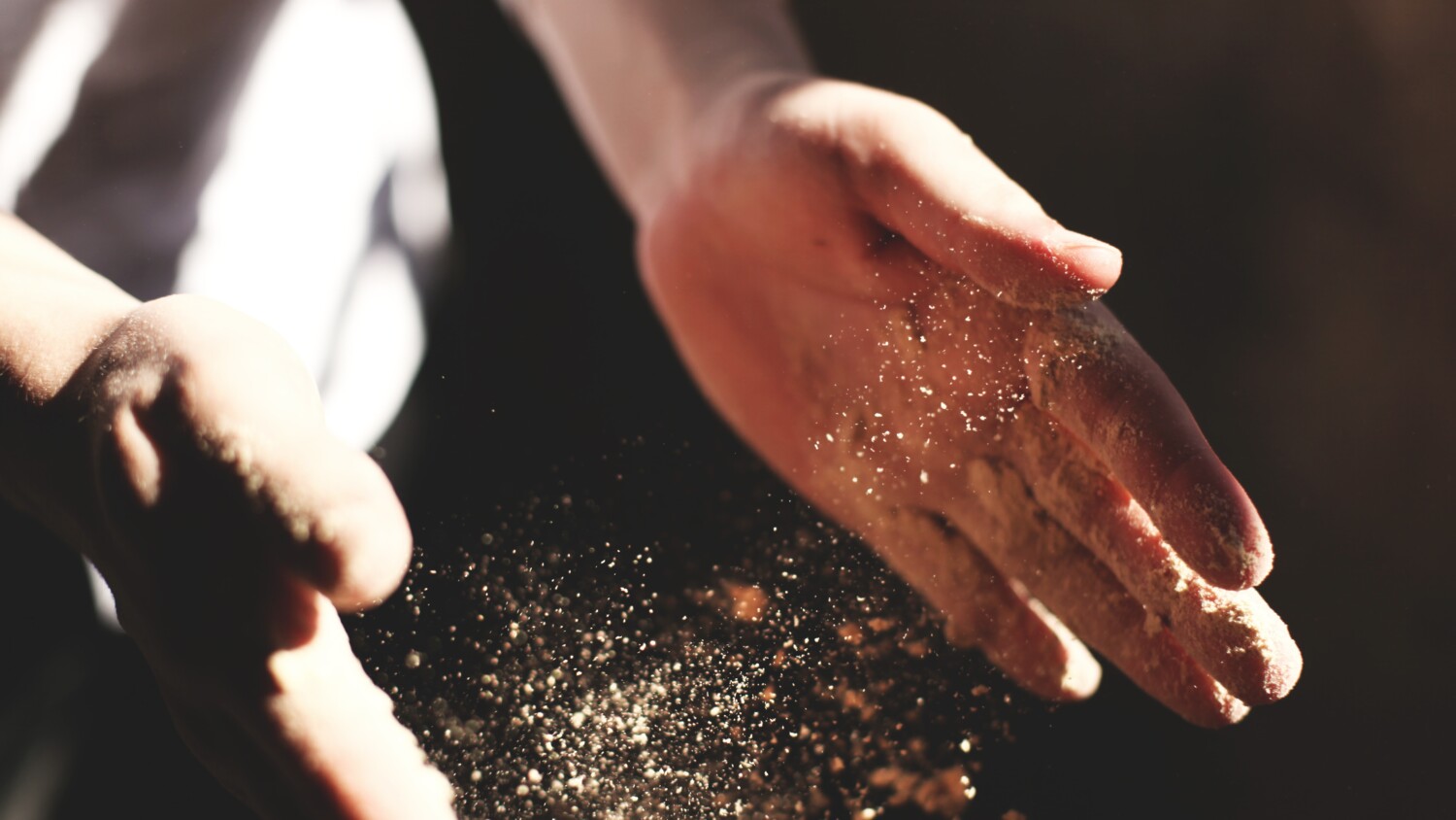 organic Flour