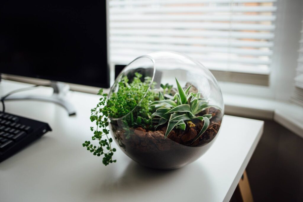 Ecological System in Office